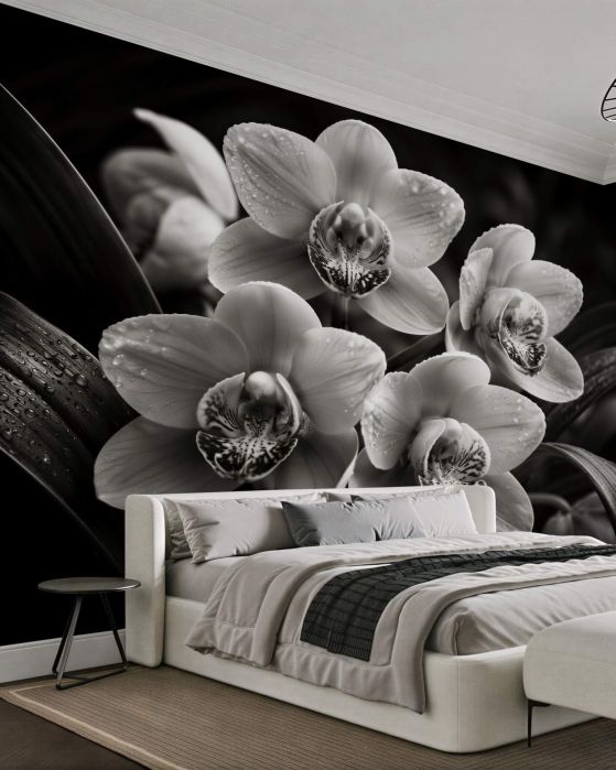 Fototapeten Schwarz-weiße Orchideen mit Tropfen