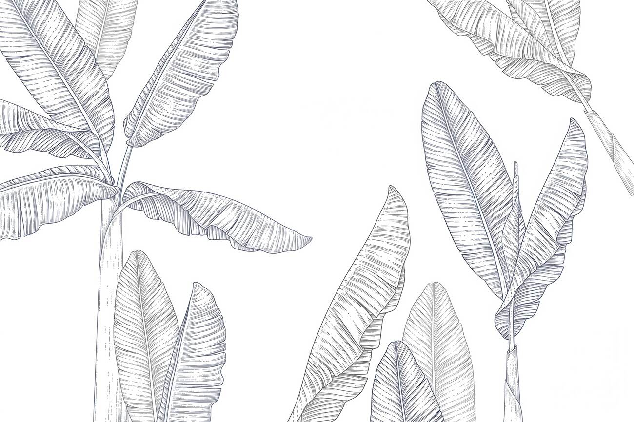 Last Product image