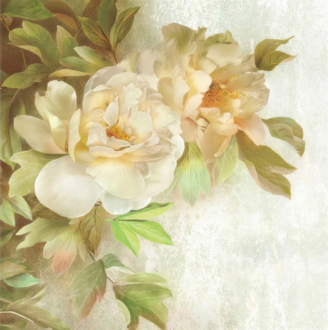 Last Product image
