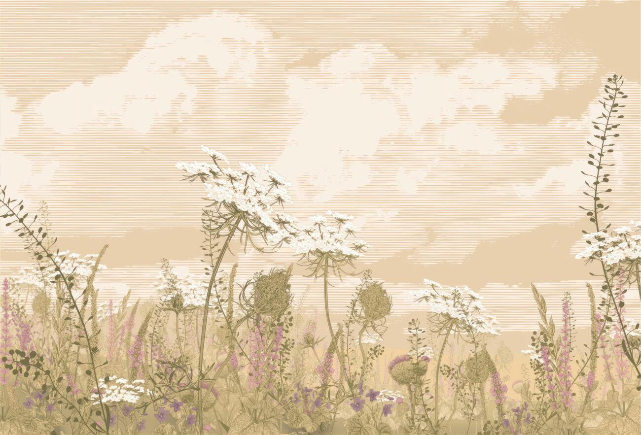 Last Product image
