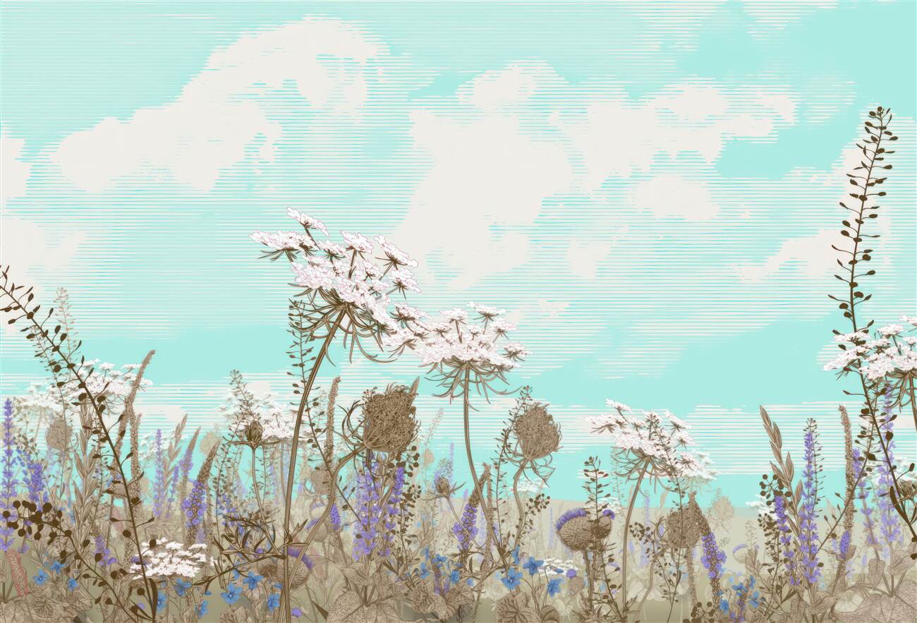 Last Product image