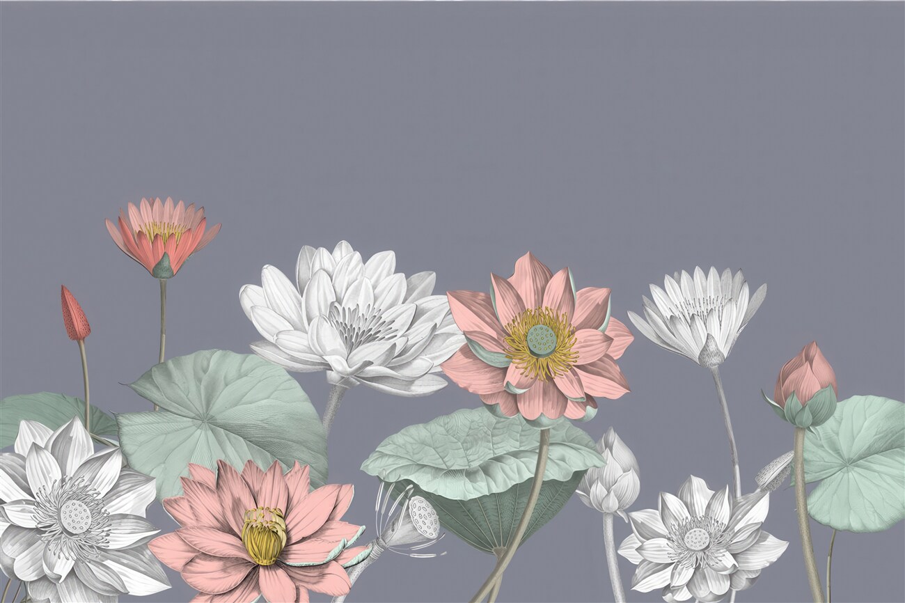 Last Product image