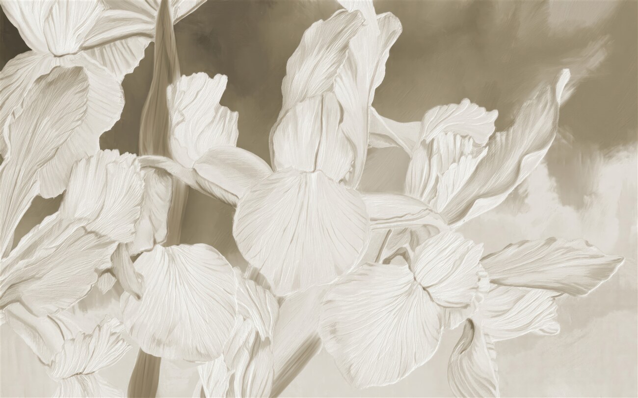 Last Product image