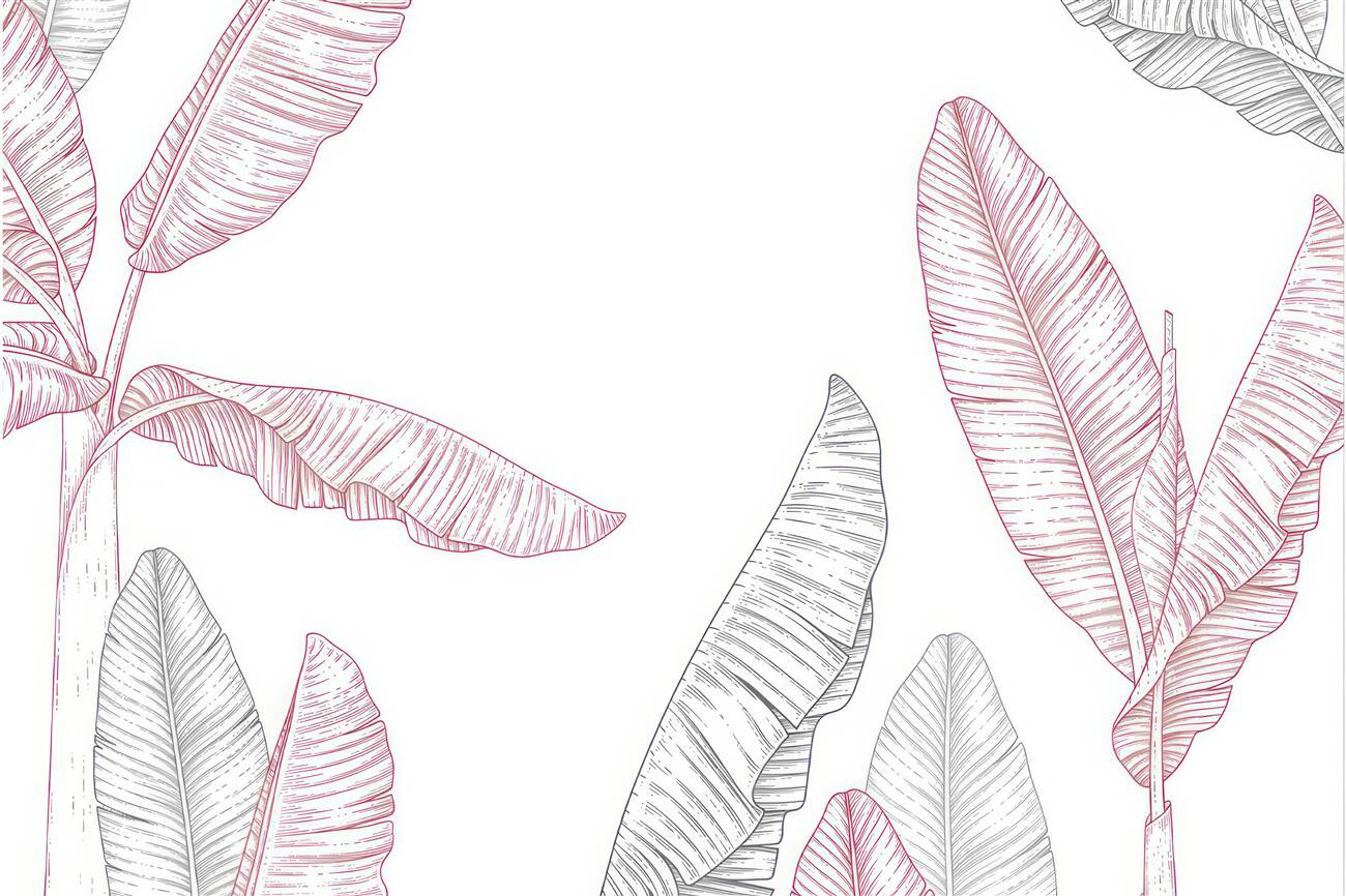 Last Product image