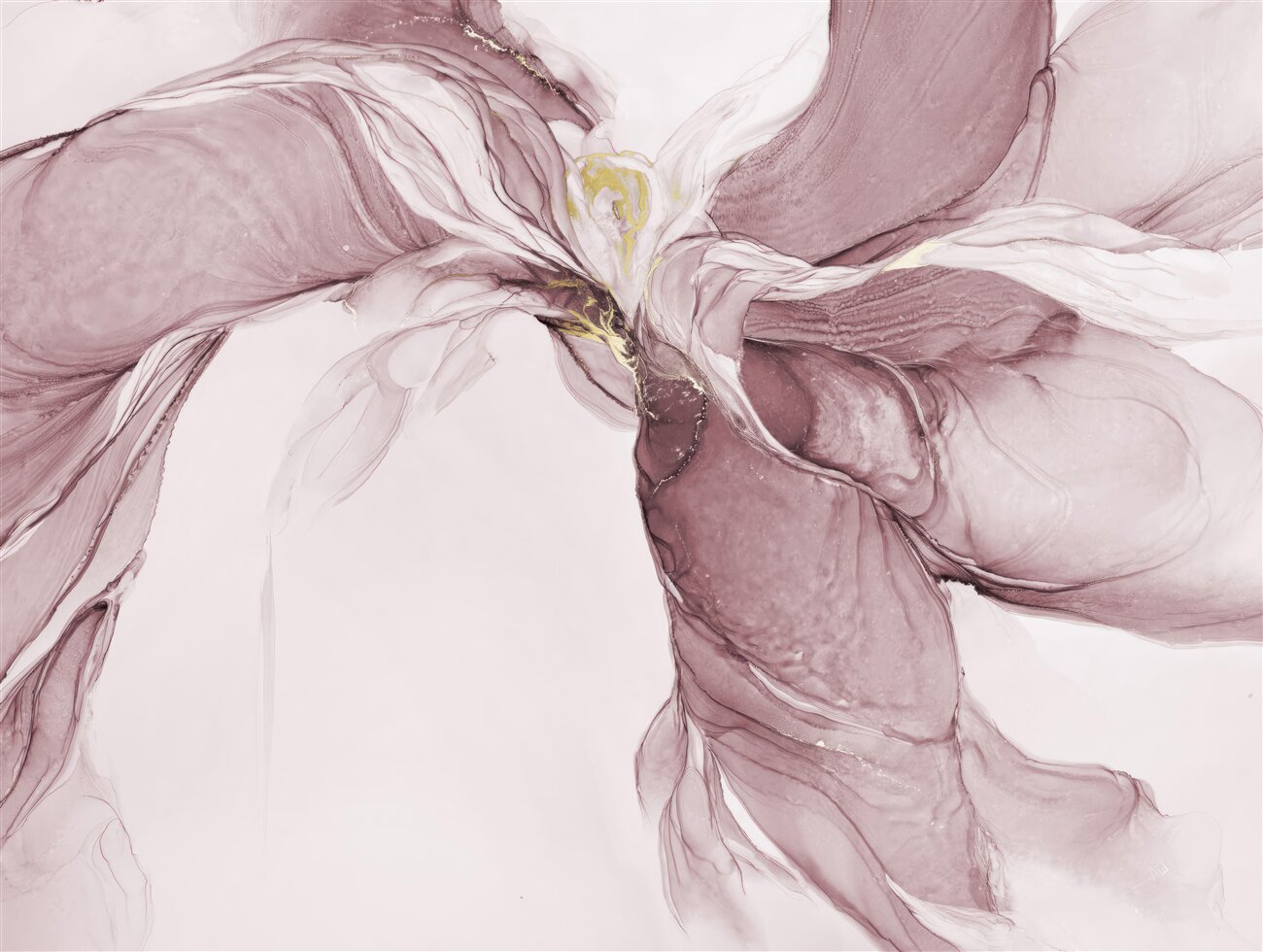 Last Product image
