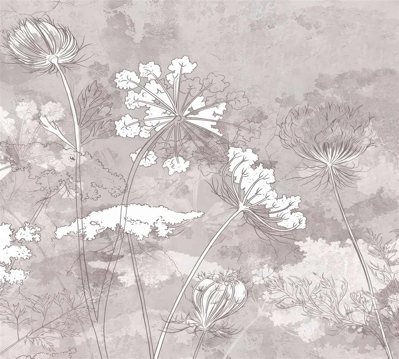 Last Product image