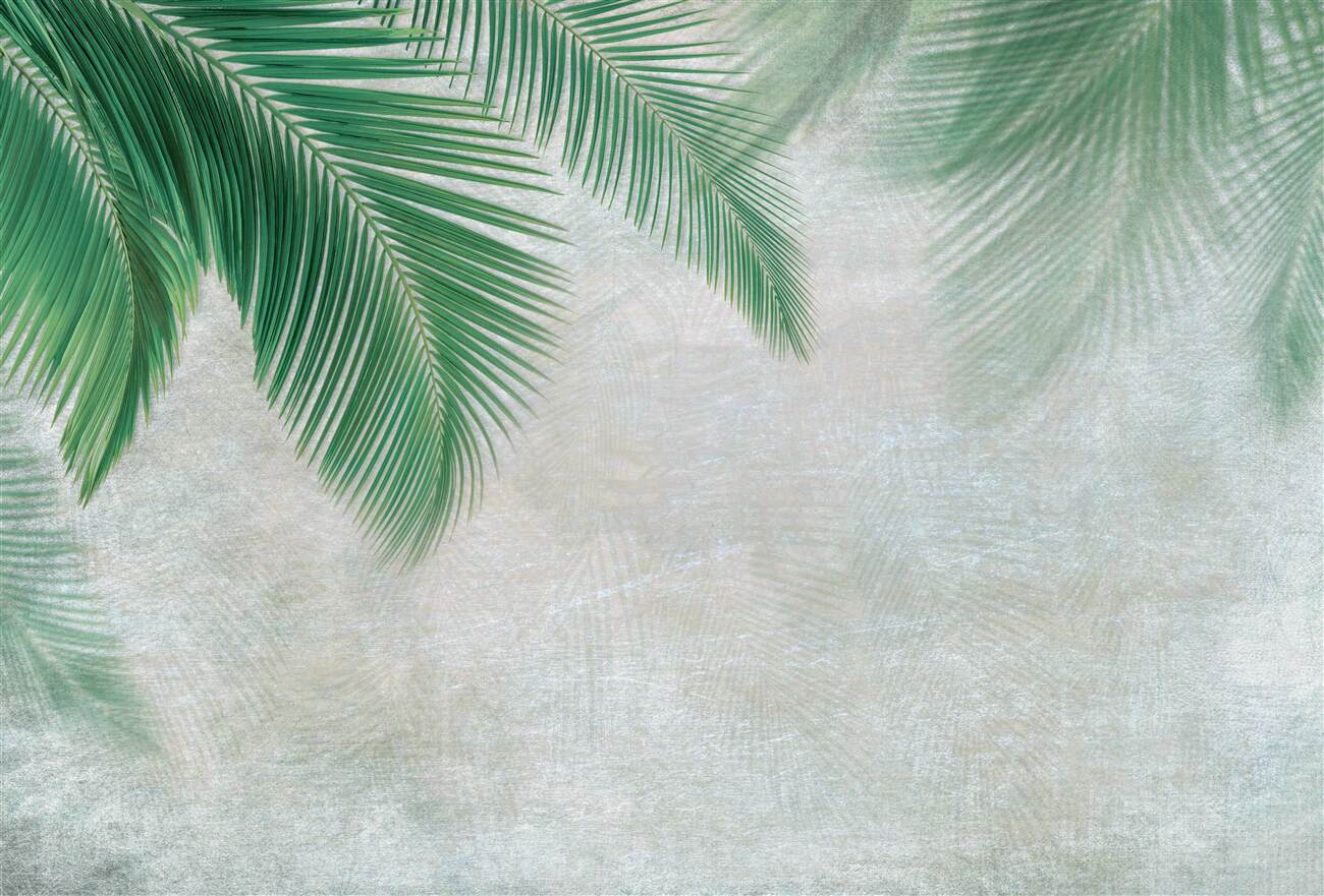 Last Product image