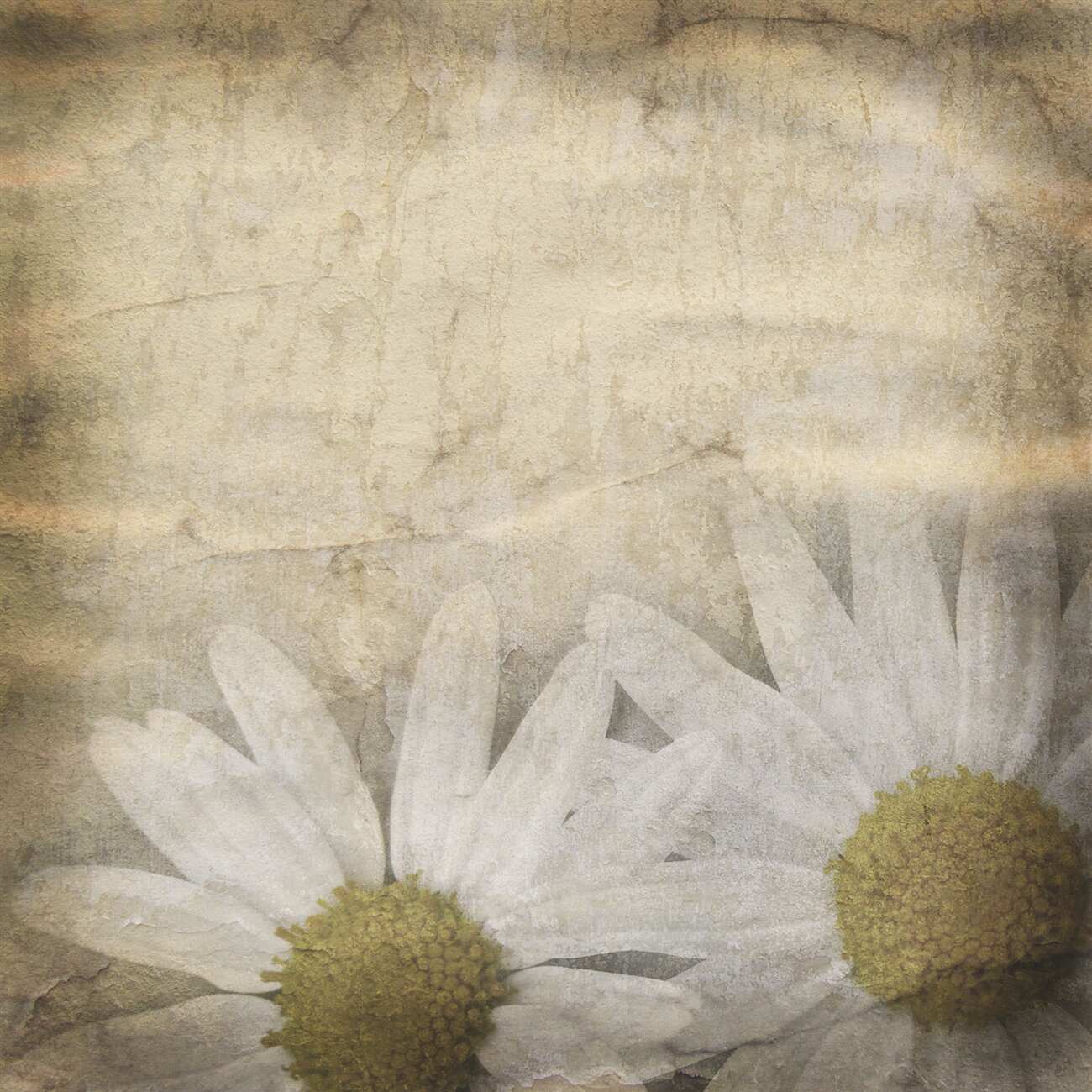 Last Product image