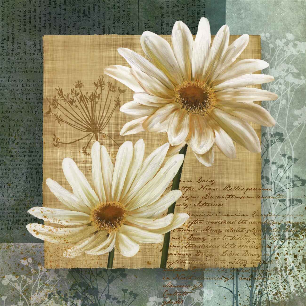 Last Product image