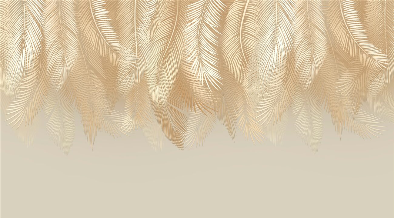 Last Product image