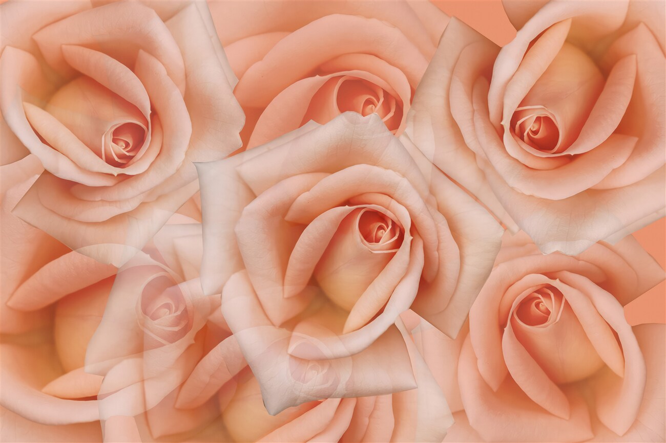 Last Product image