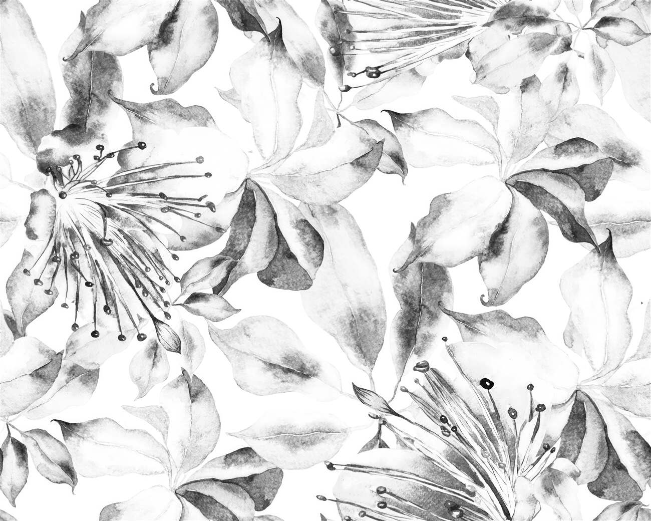 Last Product image
