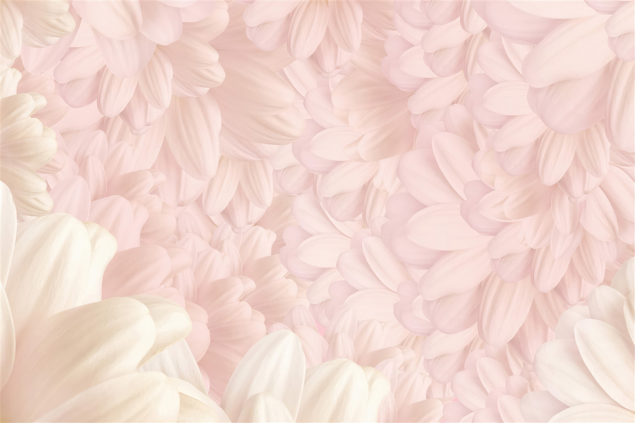 Last Product image