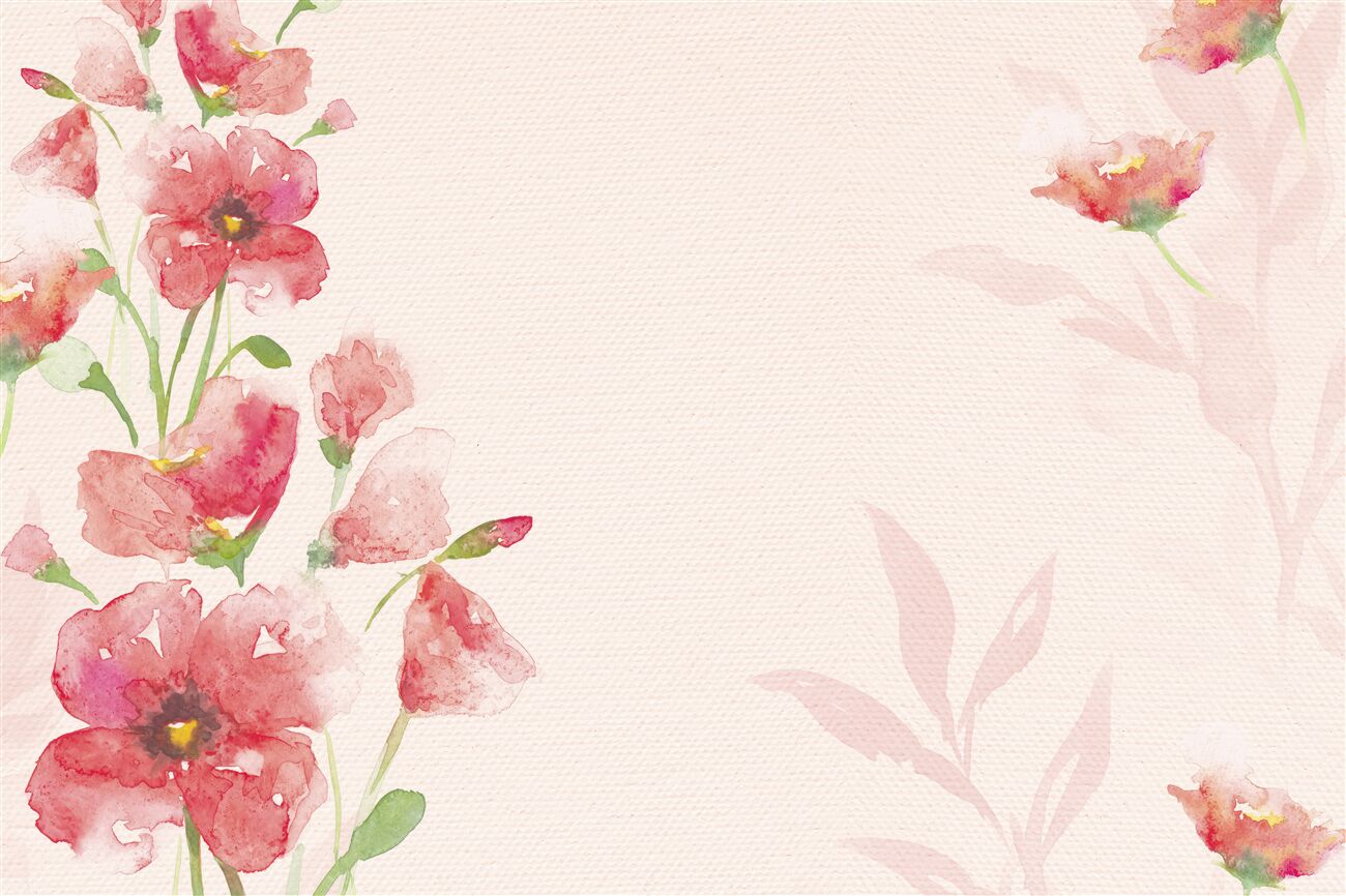 Last Product image