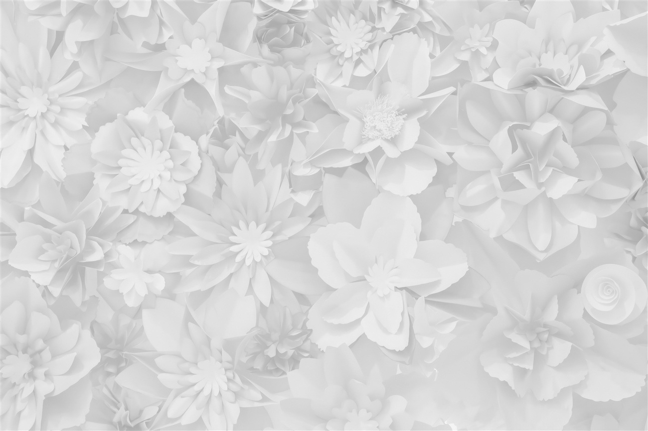 Last Product image