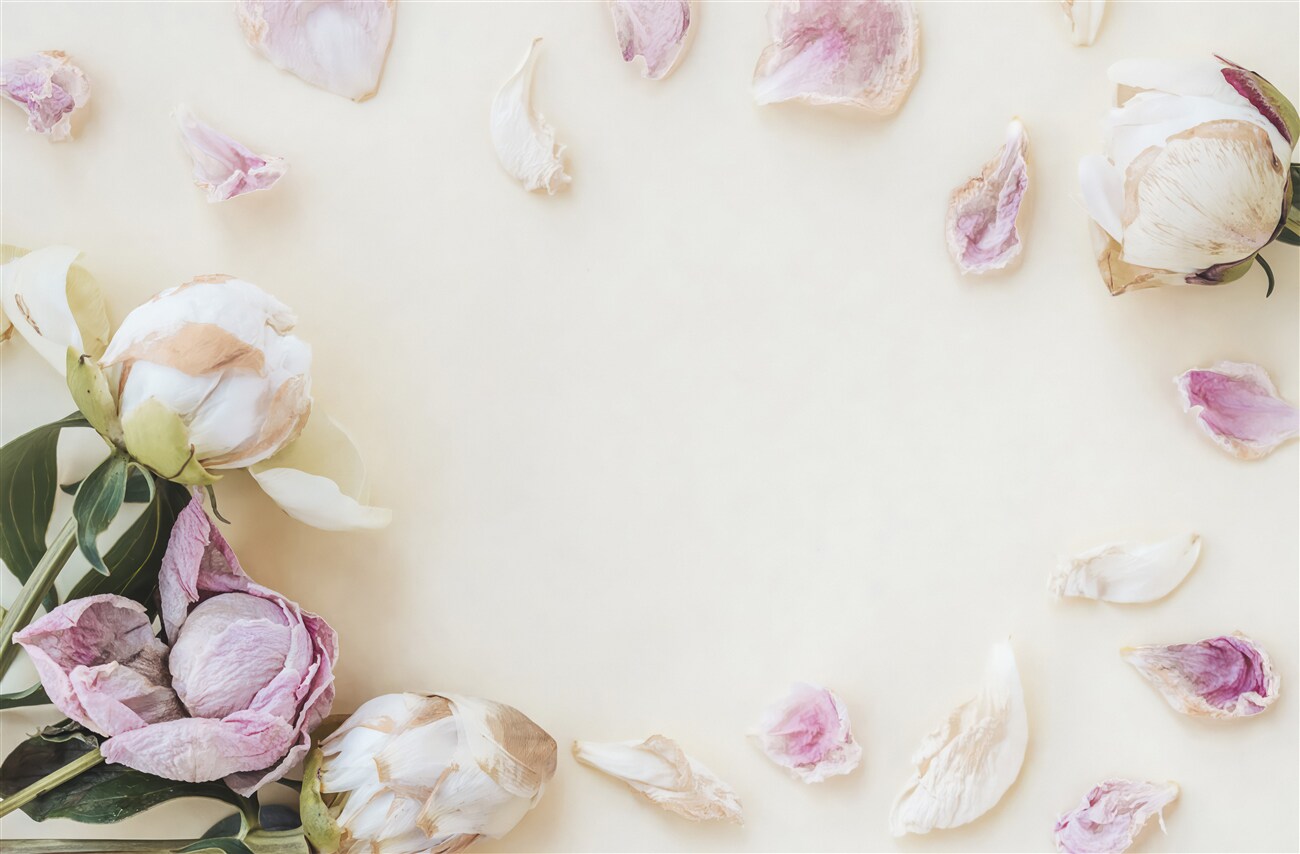 Last Product image