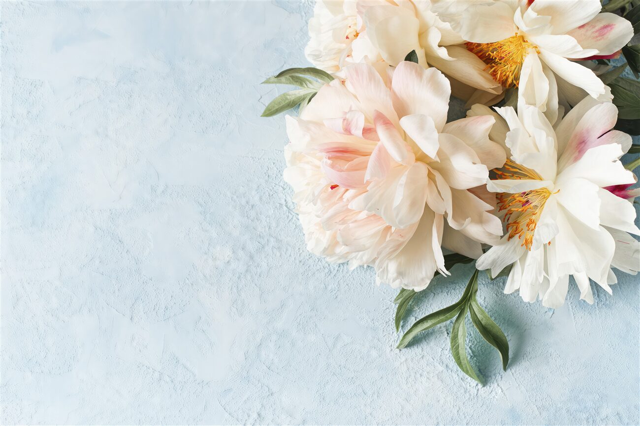 Last Product image