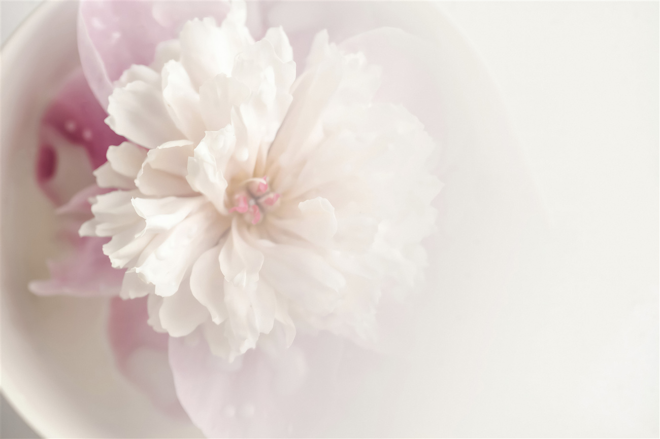 Last Product image