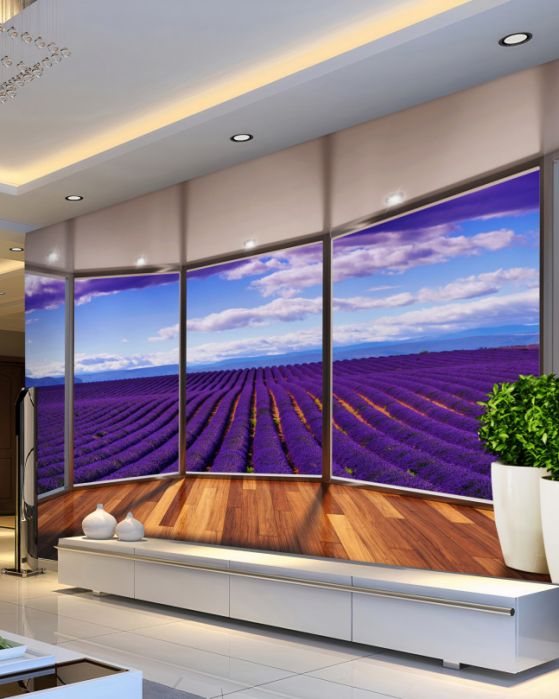 Fototapeten Lavendel