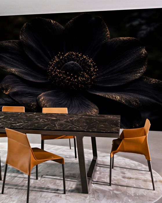 Fototapeten Schwarze Blüte mit goldenem Schimmer