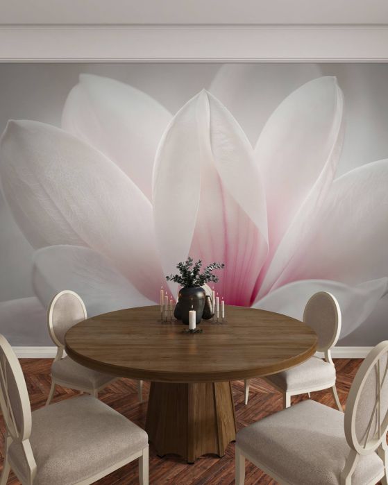 Fototapeten Zarte Magnolienblütenblätter in Nahaufnahme