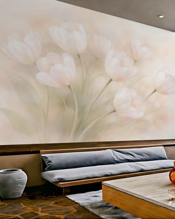Fototapeten Puderfarbene Tulpen im Glanz
