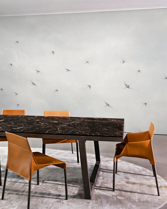 Fototapeten Fliegende Vögel zwischen den Wolken
