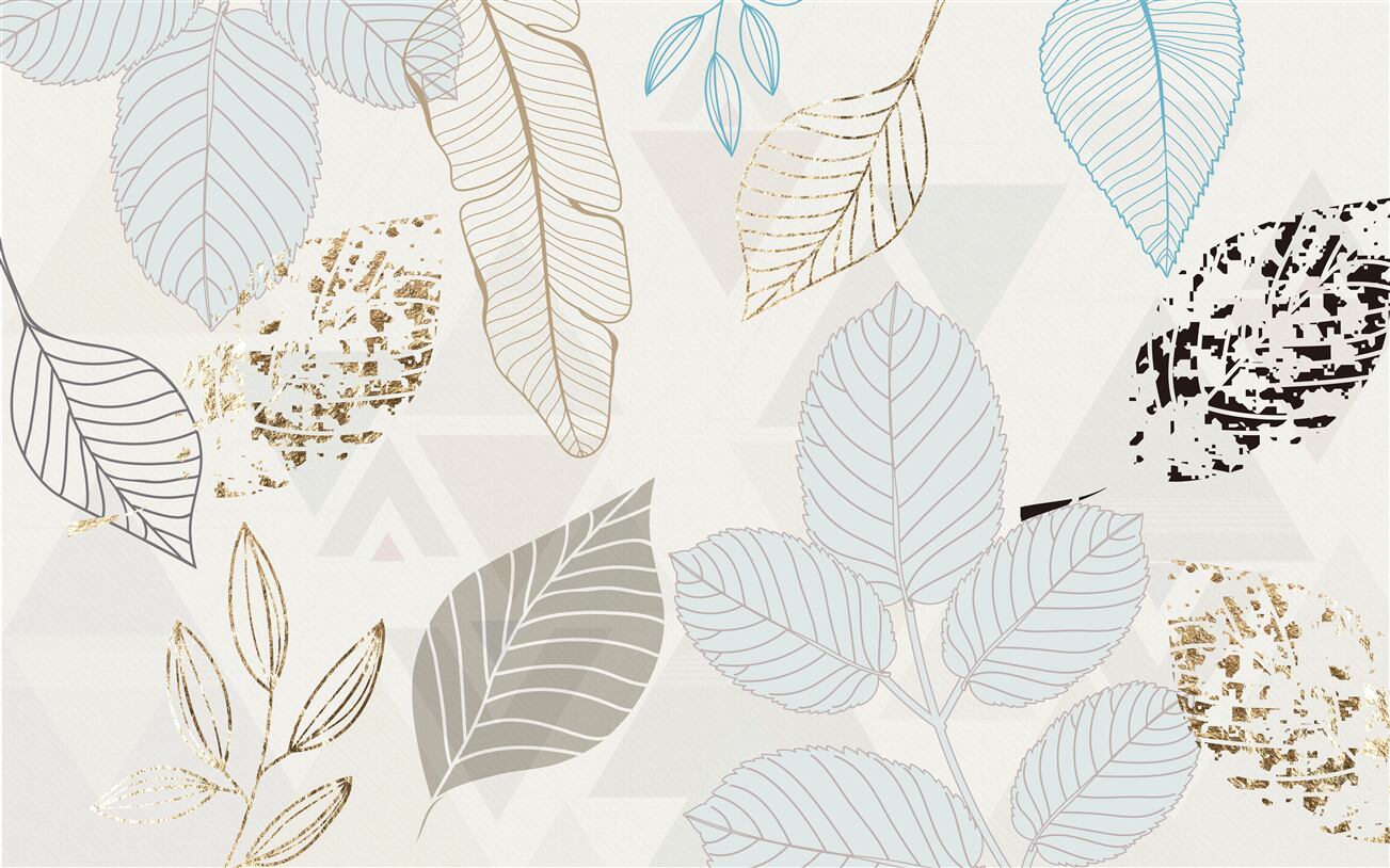 Last Product image