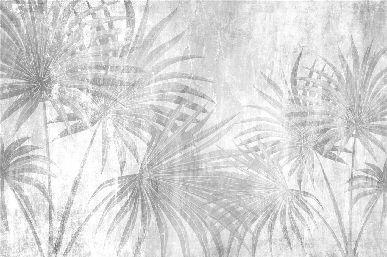 Last Product image