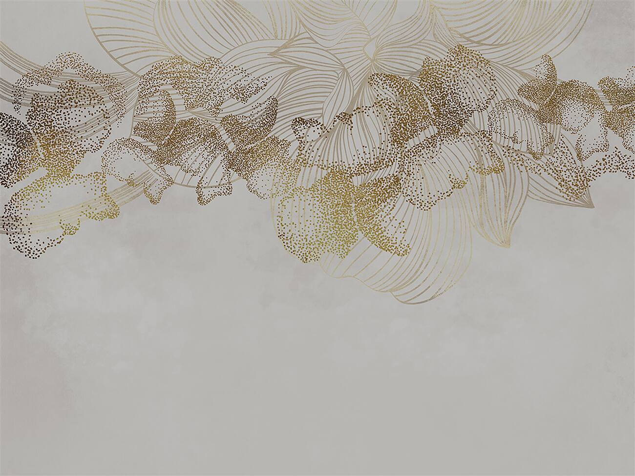 Last Product image