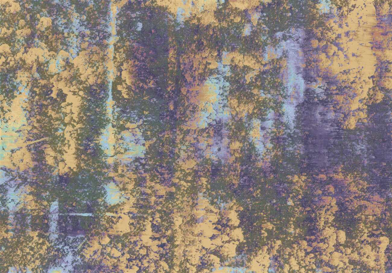Last Product image