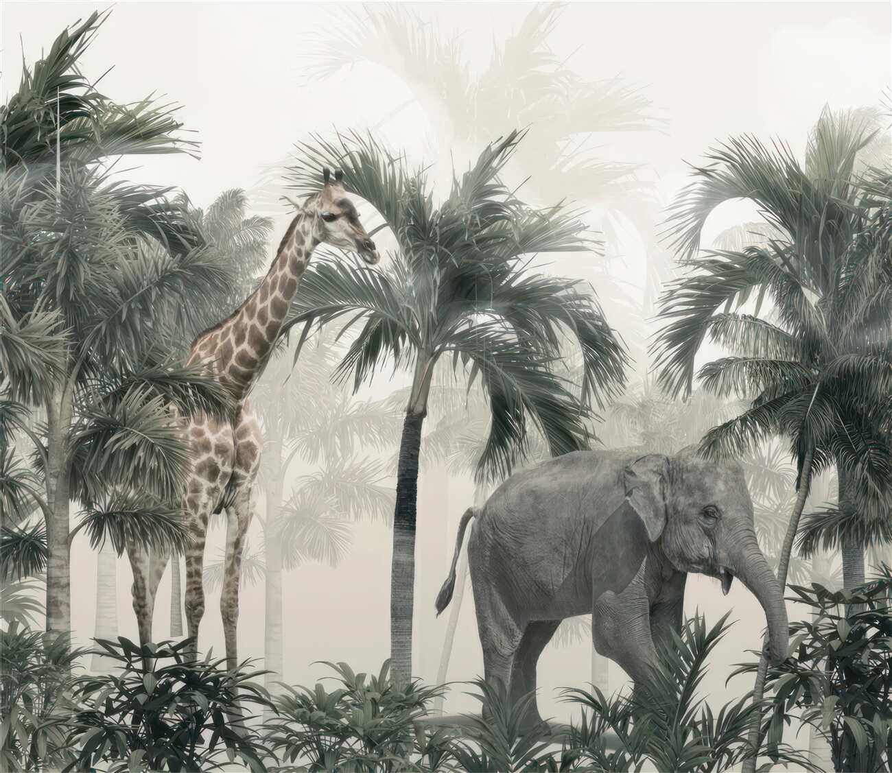 Last Product image