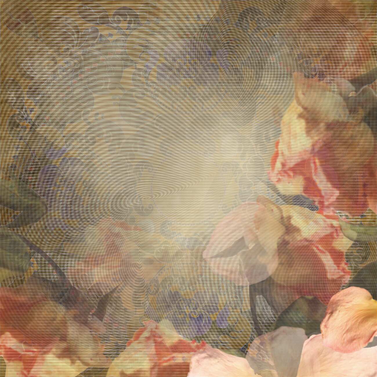 Last Product image