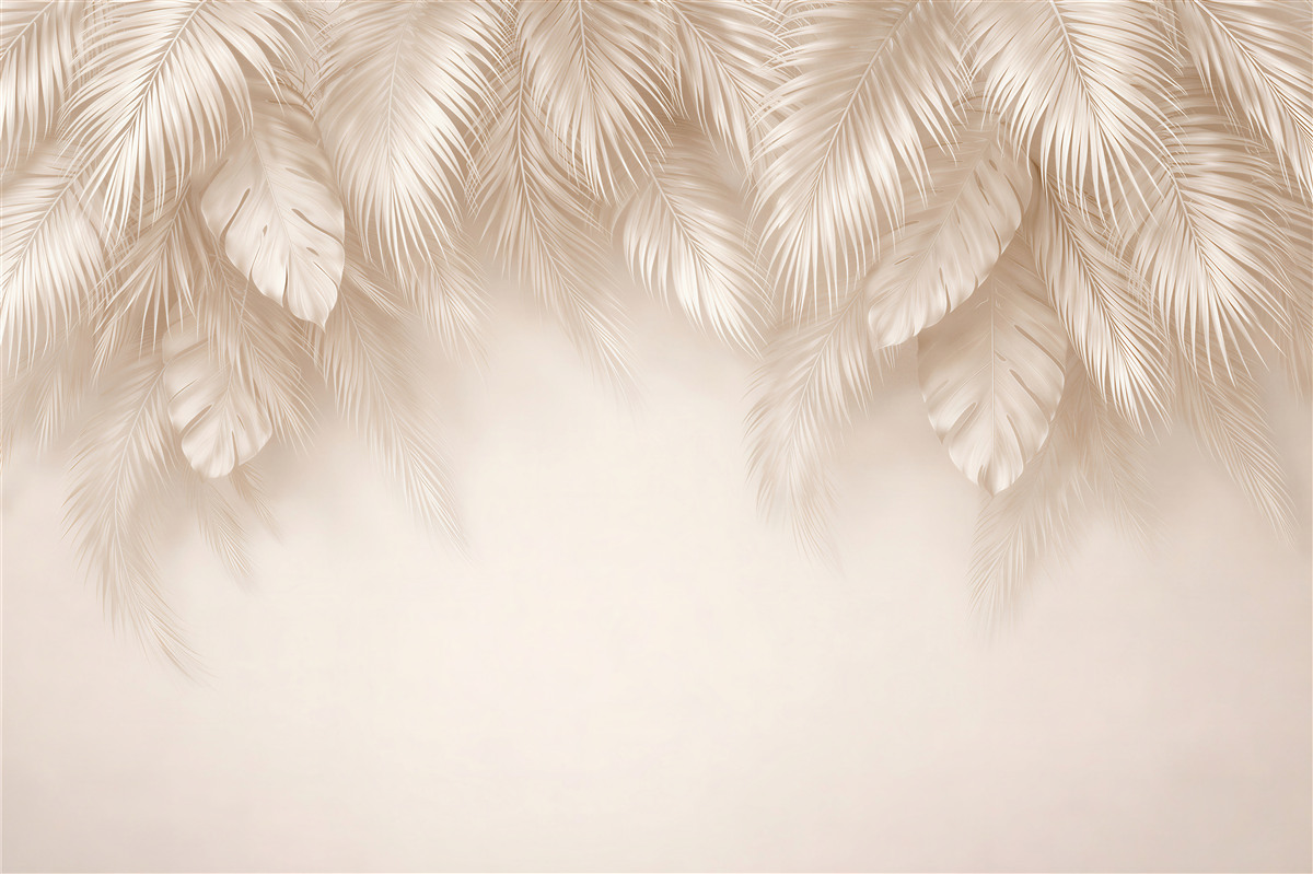Fototapeten Elegante palmartige Monstera-Blätter