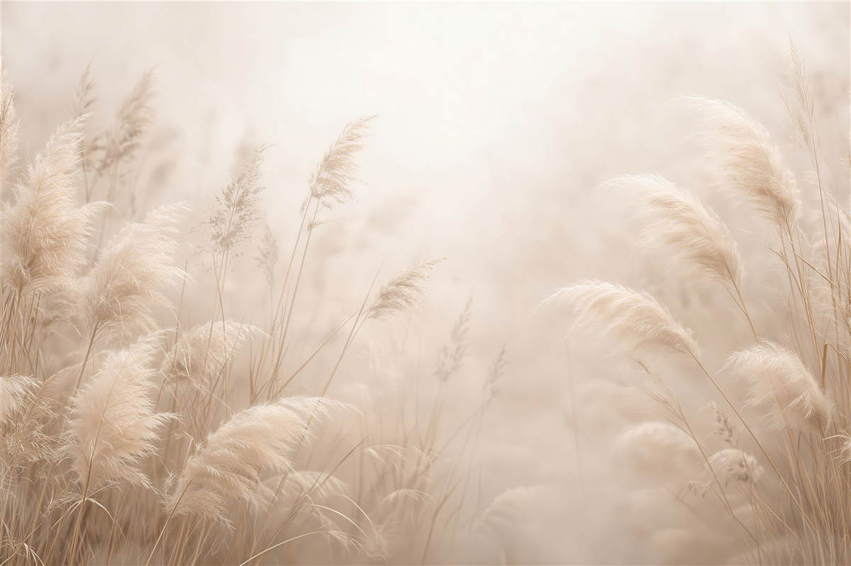 Fototapeten Flauschige Gräser im hellen Glanz