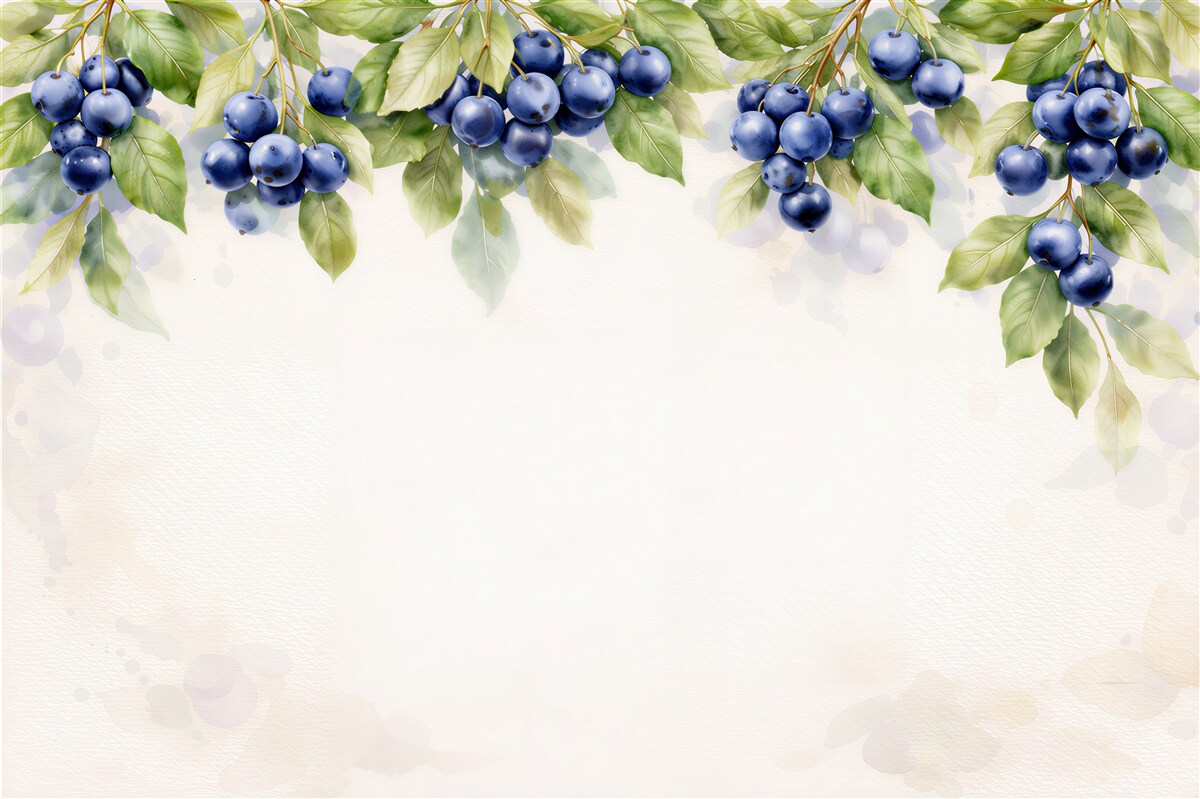 Fototapeten Aquarellzweige mit Beeren