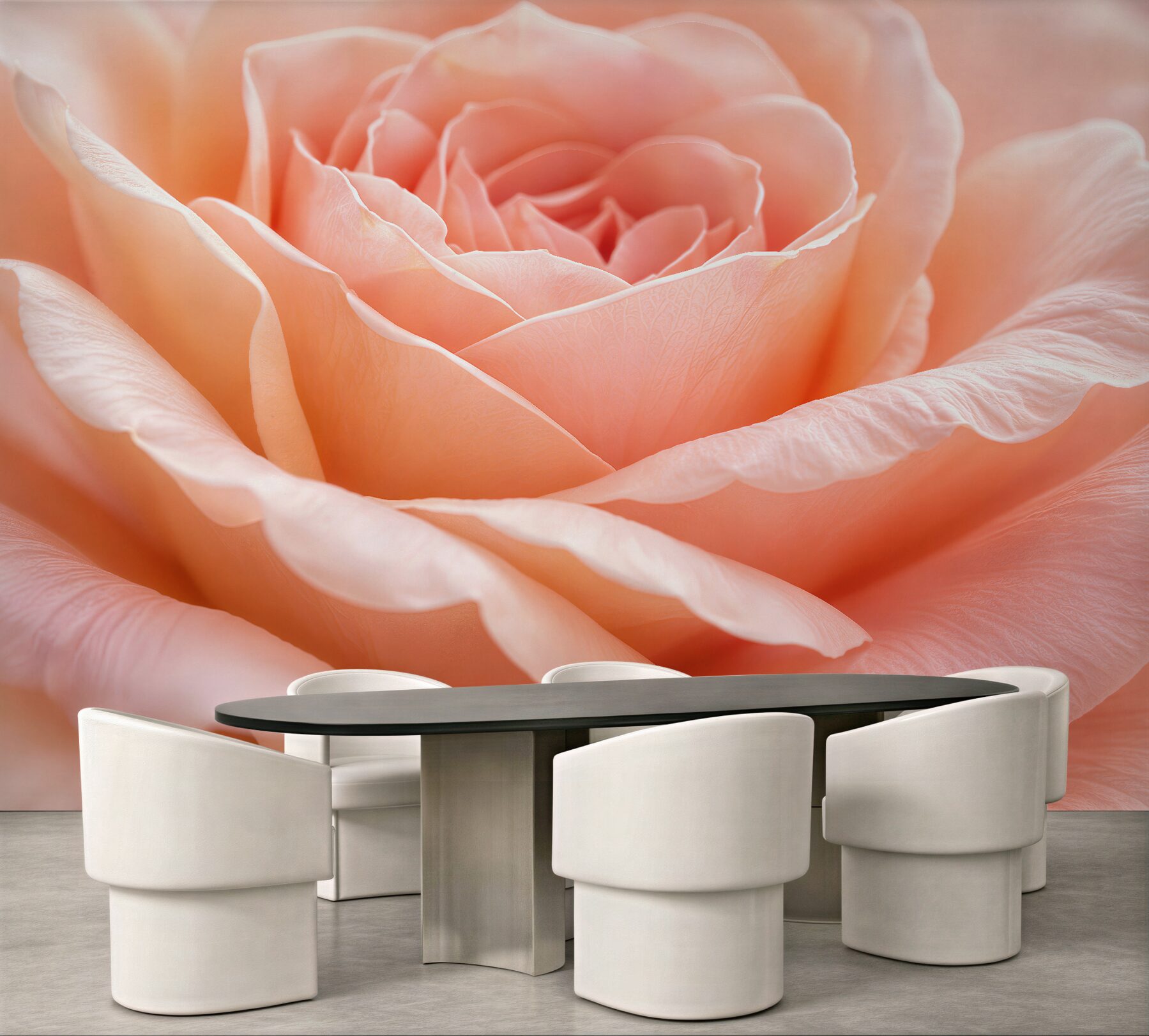 Fototapeten Puderrosa Rose im Makro