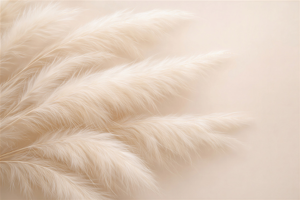 Fototapeten Puderfarbene Federn in Beige
