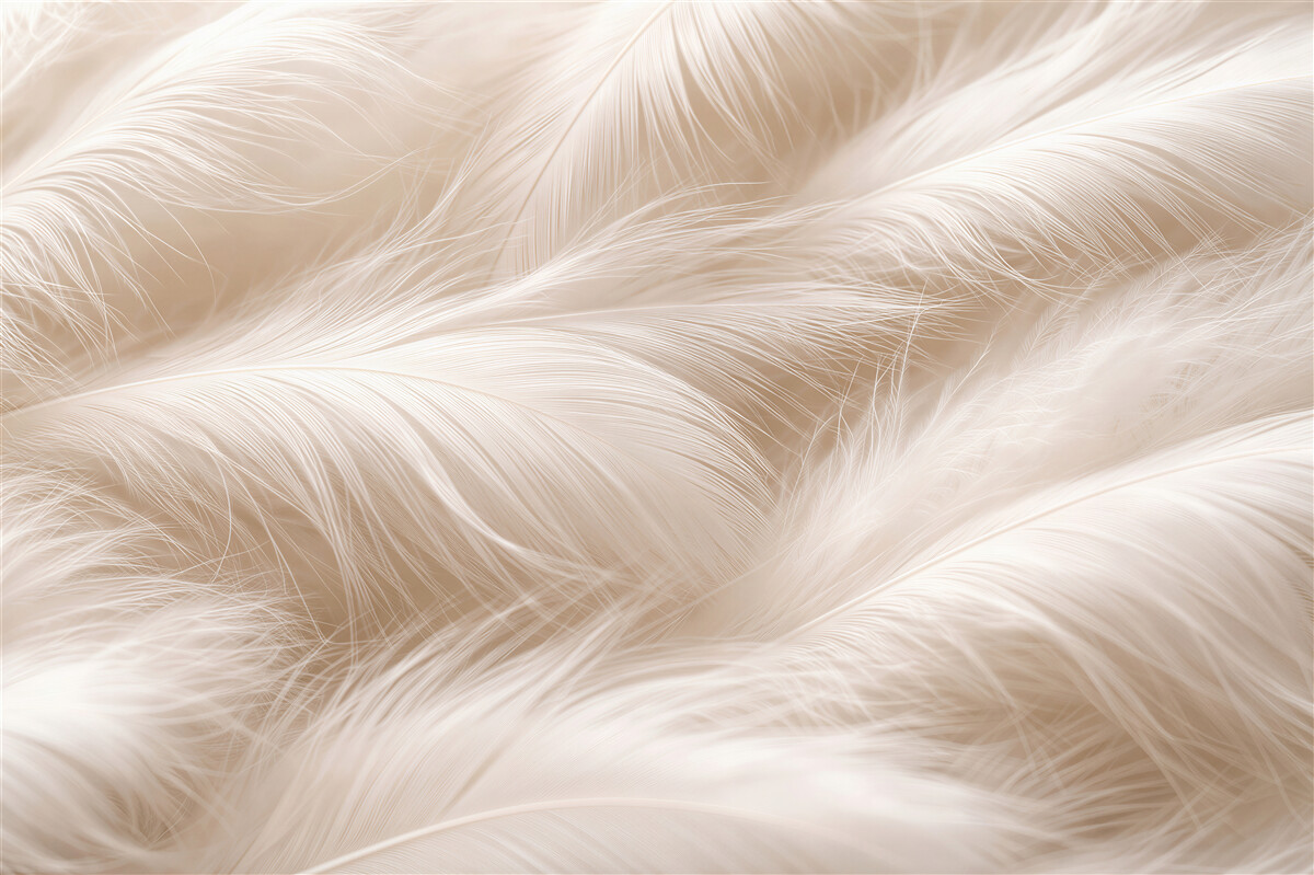 Fototapeten Zarte beige Federn in Nahaufnahme