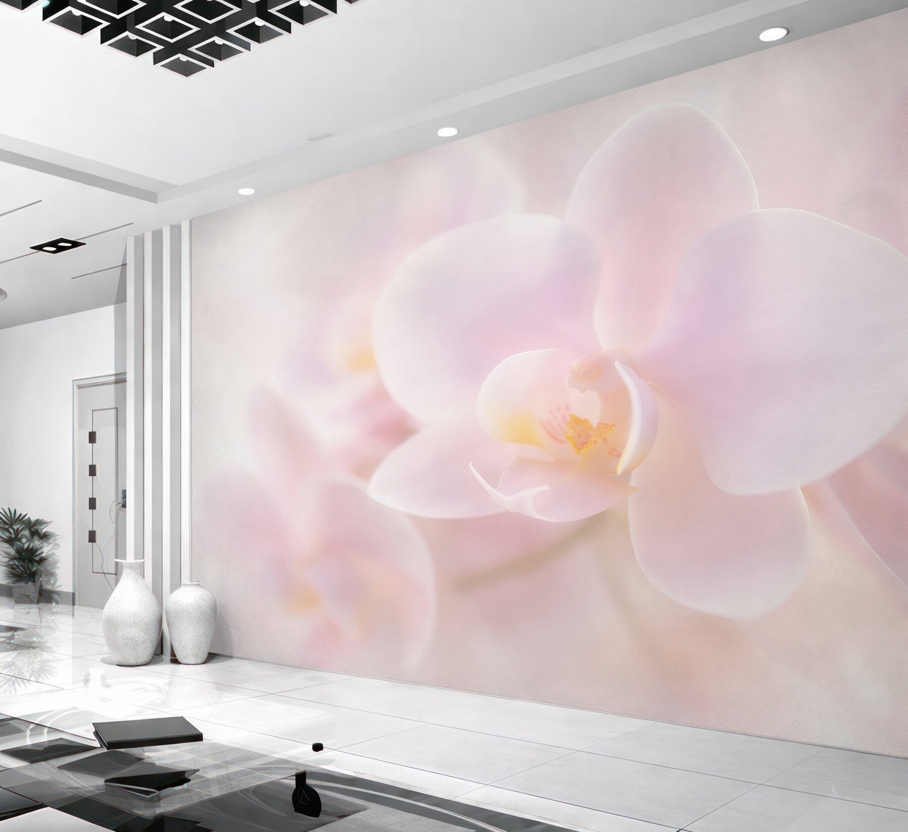 Fototapeten Zarte weiße Orchidee