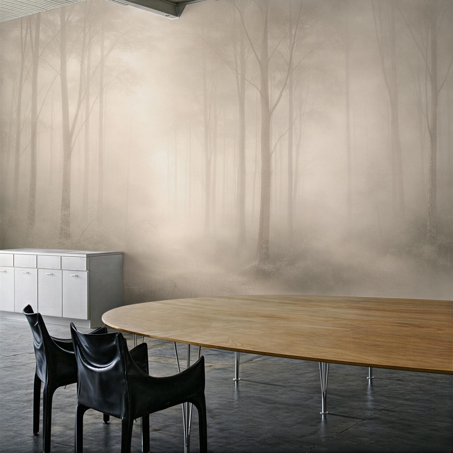 Fototapeten Waldnebel mit Lichtstrahlen