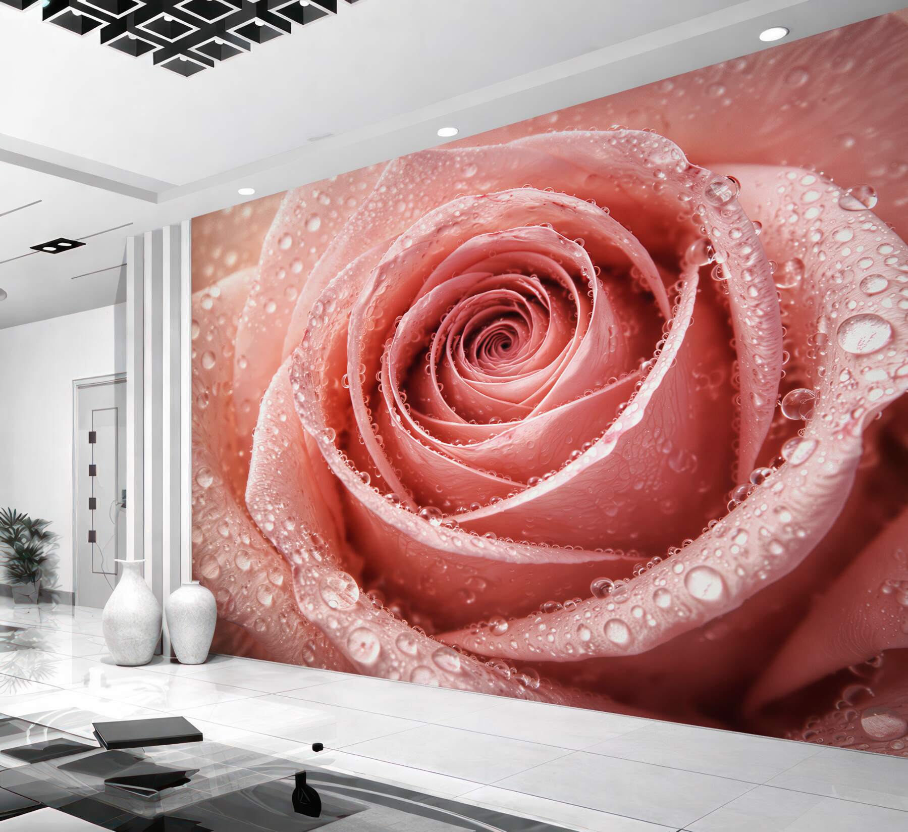 Fototapeten Puderrosa Rose in Tautropfen