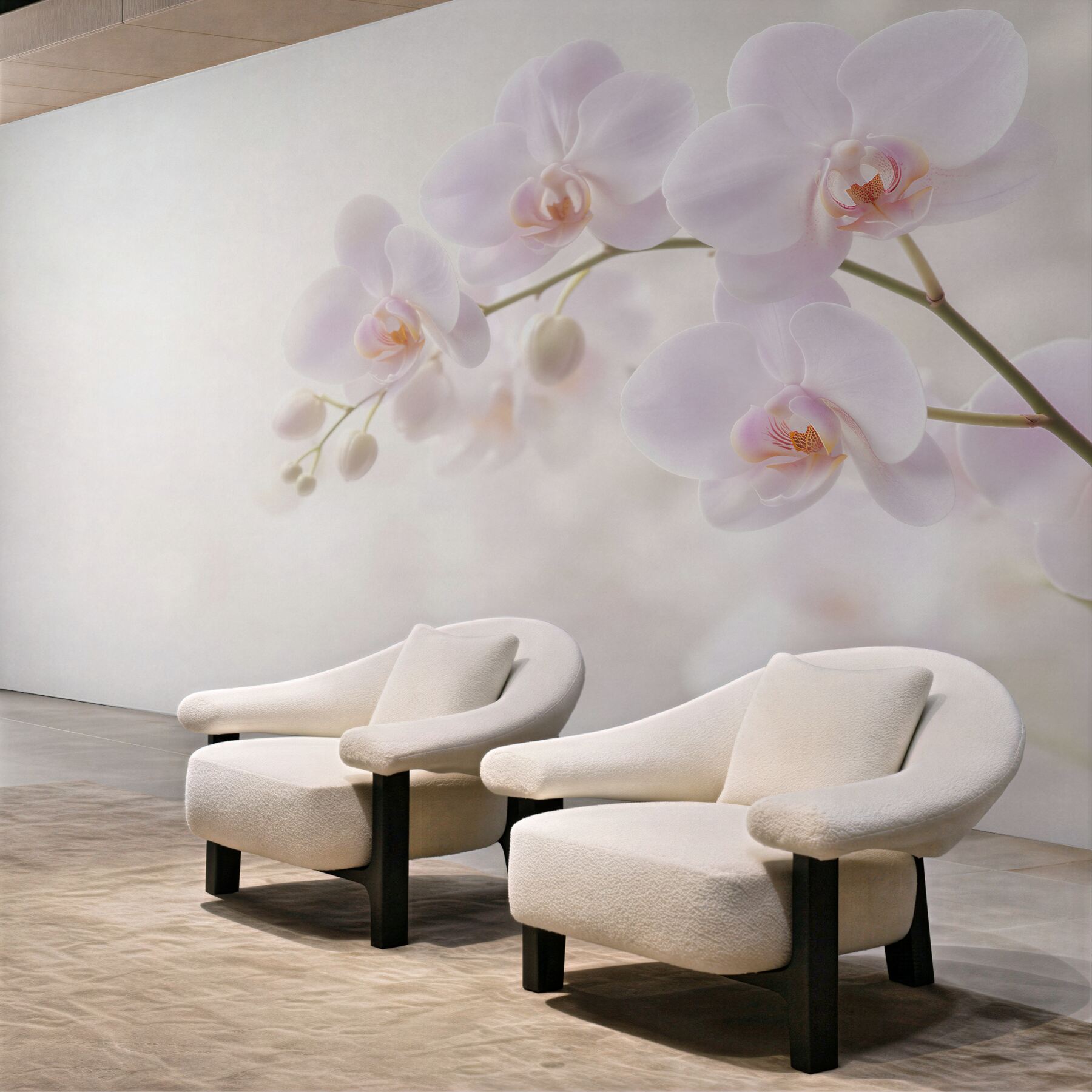 Fototapeten Zarte weiße Orchideen