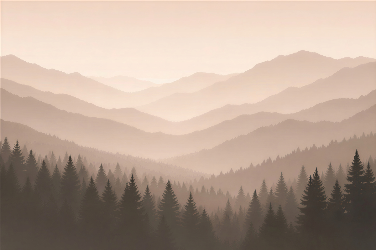 Fototapeten Nebliger Morgen über dem Bergwald