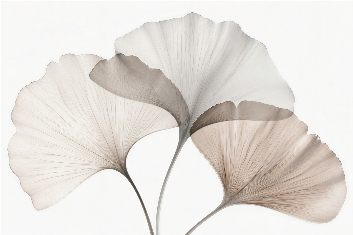 Fototapeten Zarte Ginkgoblätter in Beige