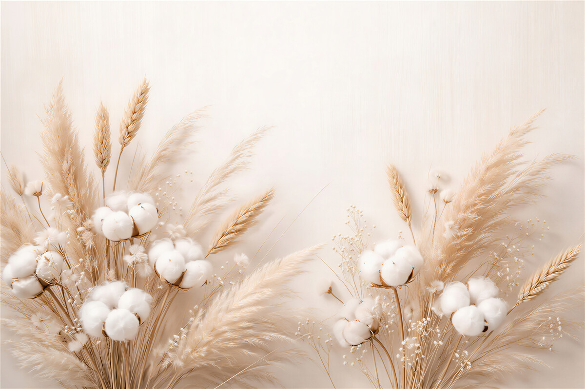 Fototapeten Beige Gräser und baumwollene Zartheit