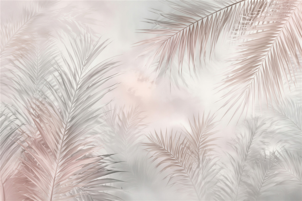 Fototapeten Pudrige Blätter des Palmennebels