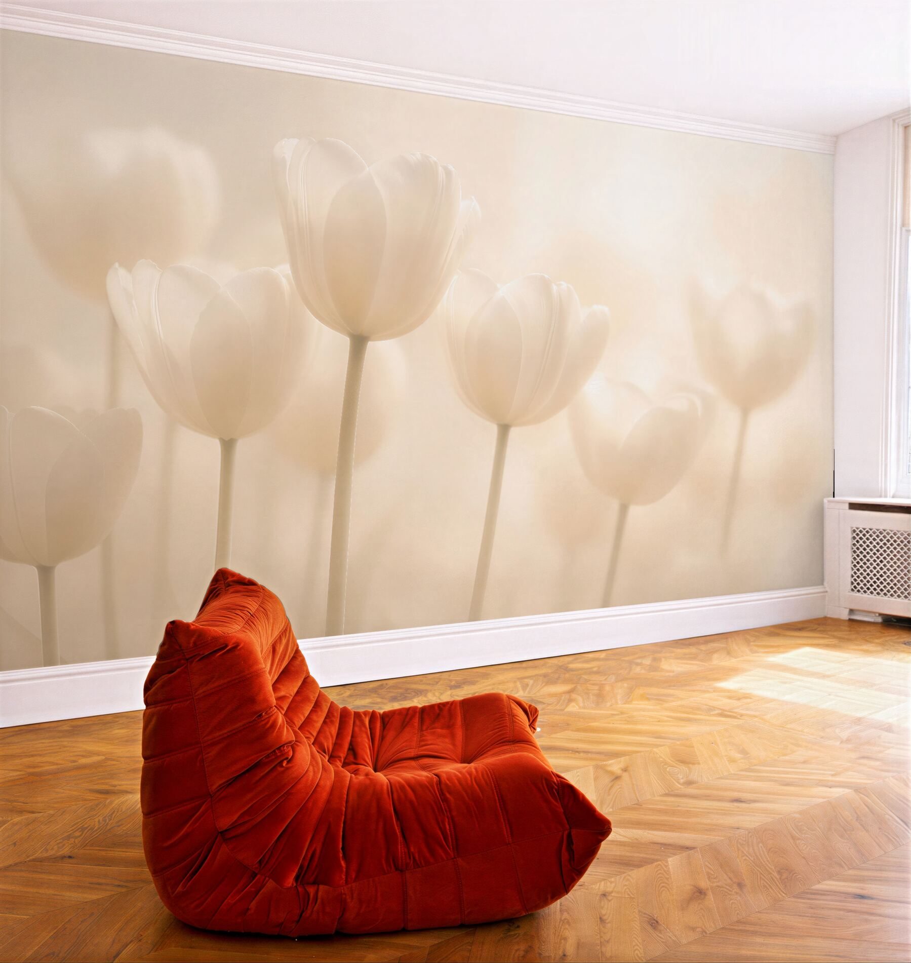 Fototapeten Cremige Tulpen in weichem Licht