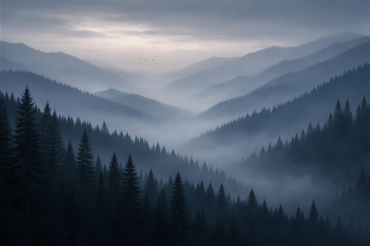 Fototapeten nebliger Bergmorgen im Wald