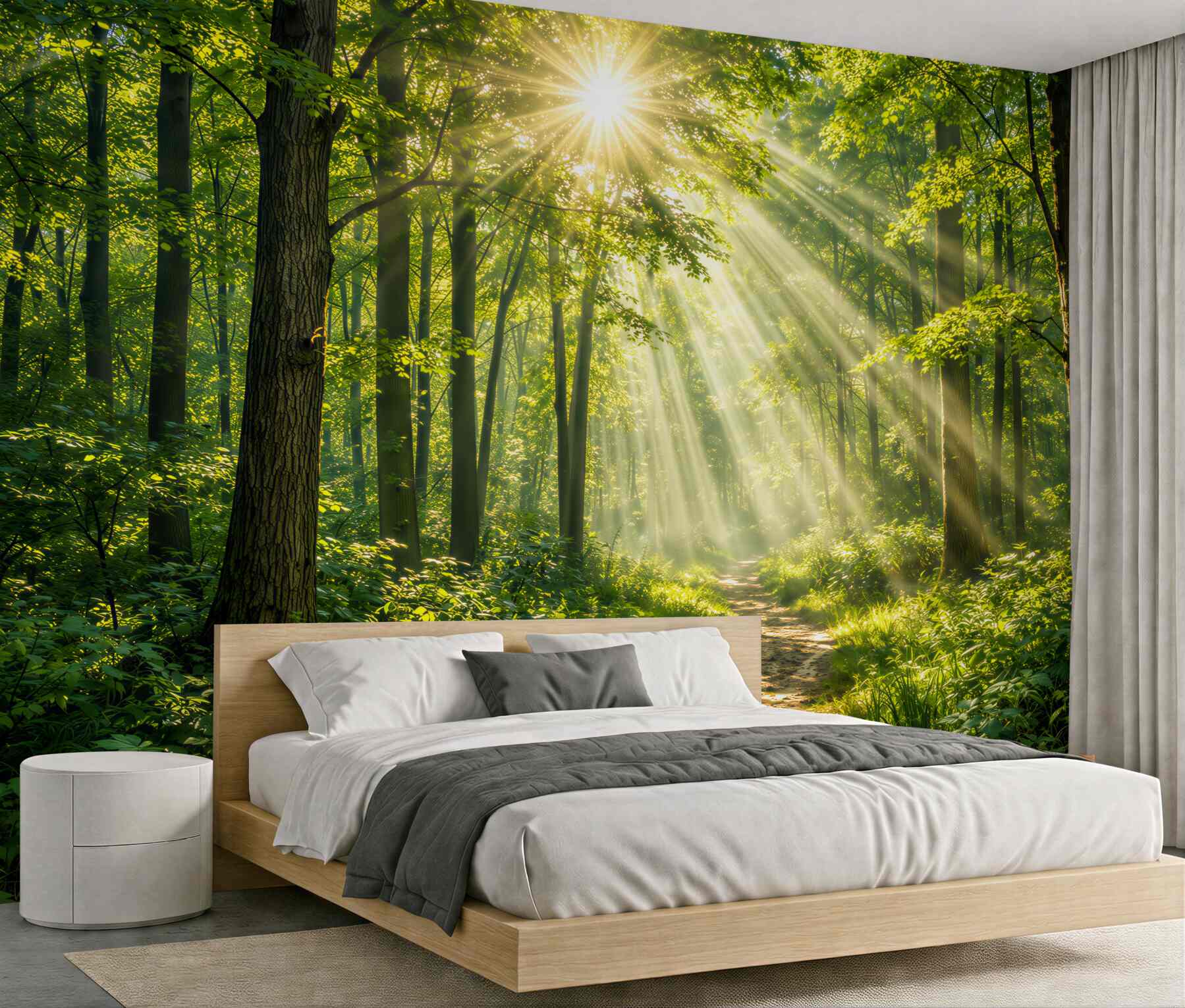 Fototapeten Sonniger Wald mit Waldweg
